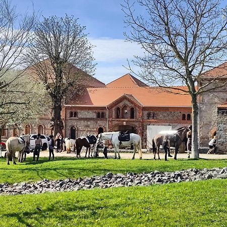 Tinyhousebeidresden 3 Fuer 2 - 7 Personen, Naehe Saechsische Schweiz, Dresden, Mit Badeteich Villa Grossharthau Bagian luar foto