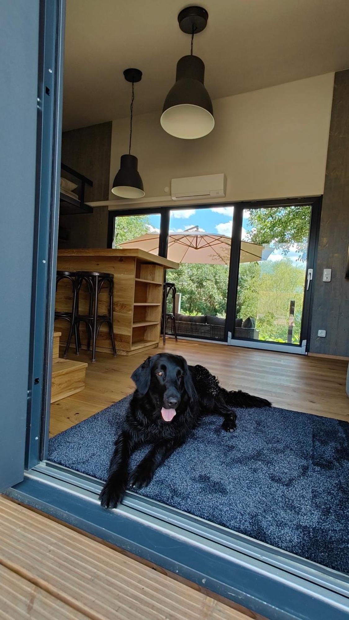 Tinyhousebeidresden 3 Fuer 2 - 7 Personen, Naehe Saechsische Schweiz, Dresden, Mit Badeteich Villa Grossharthau Bagian luar foto