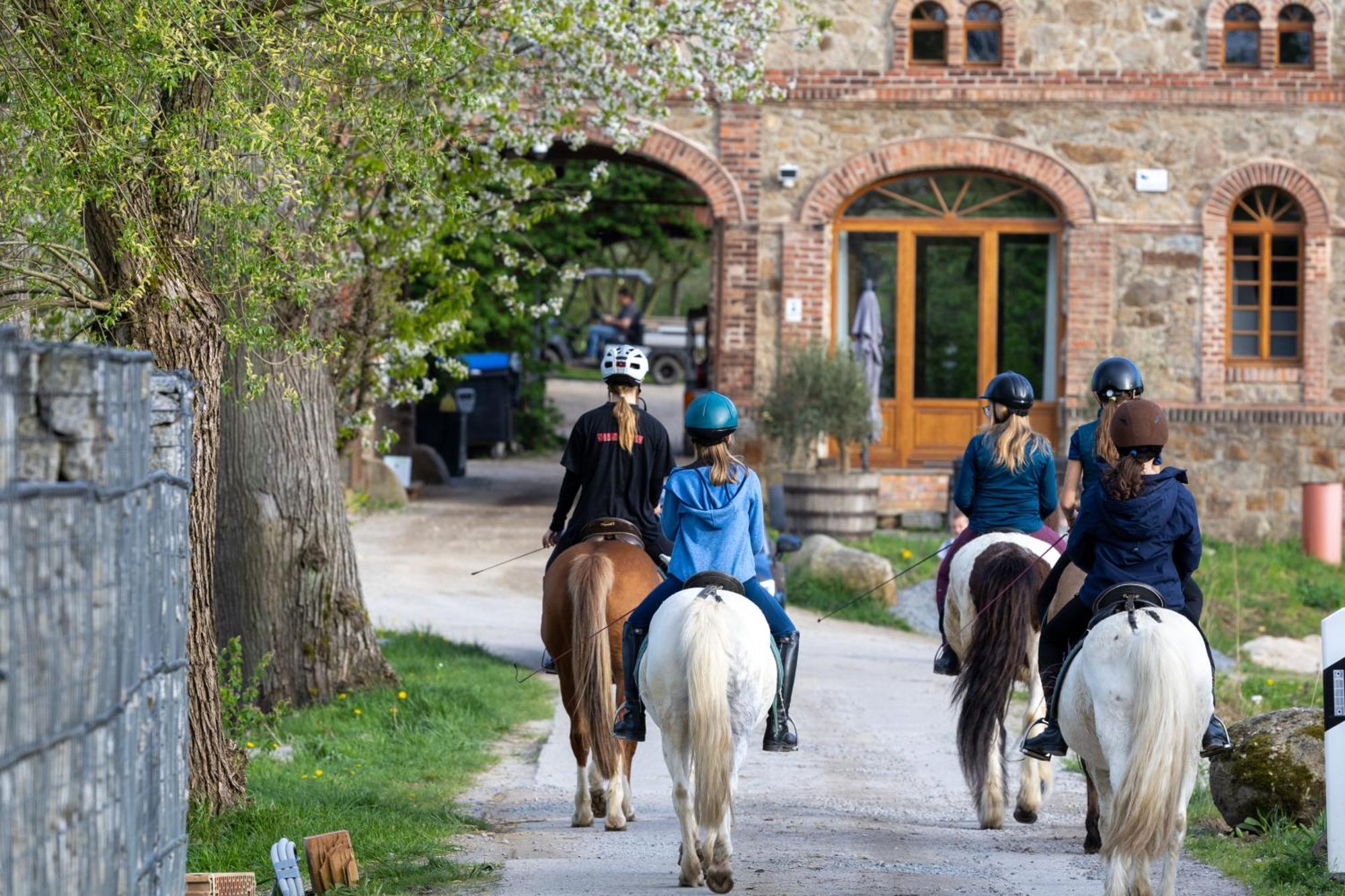 Tinyhousebeidresden 3 Fuer 2 - 7 Personen, Naehe Saechsische Schweiz, Dresden, Mit Badeteich Villa Grossharthau Bagian luar foto